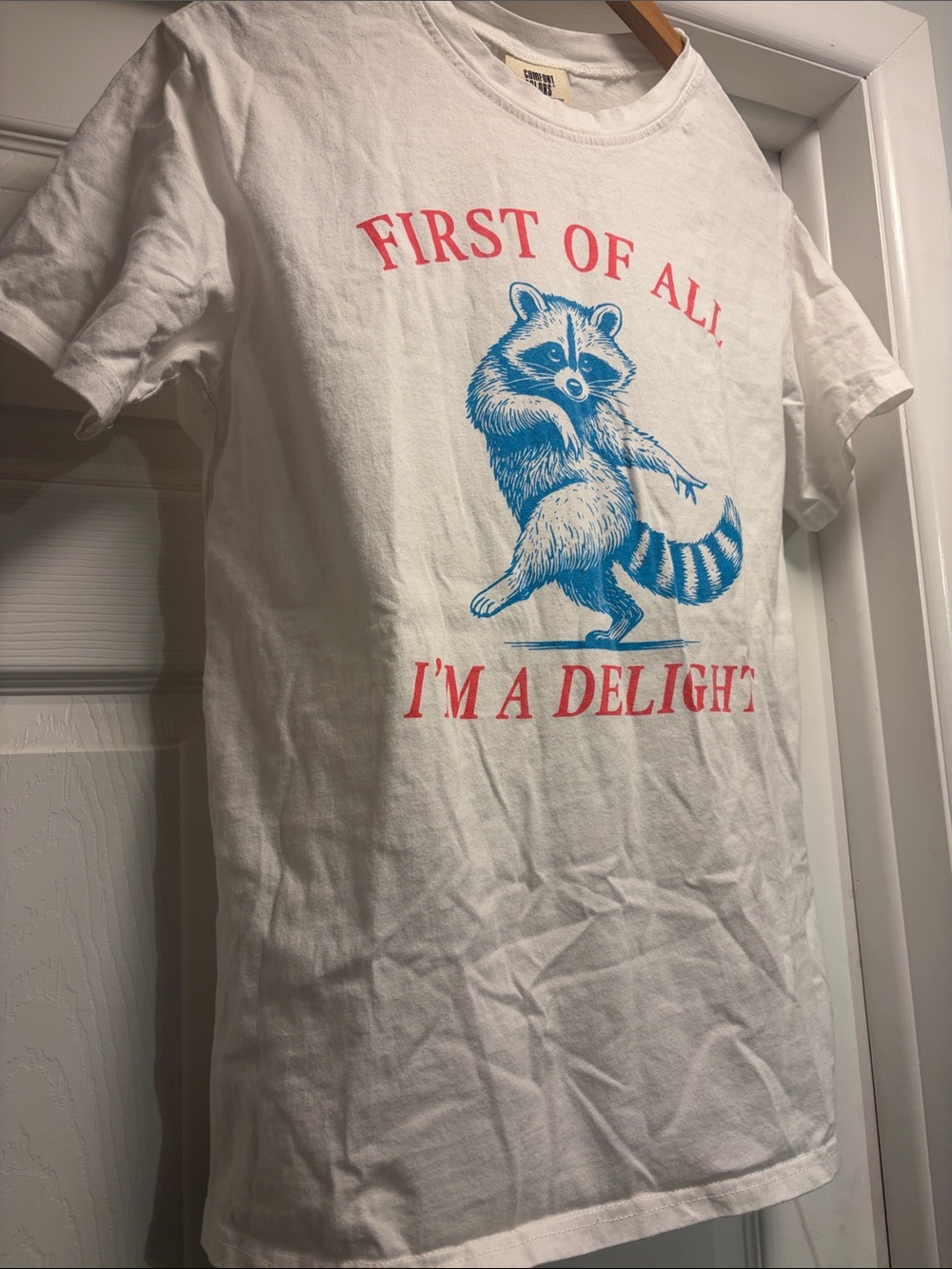Raccoon Graphic Tee 100% cotton sz M - Picture 2 of 5